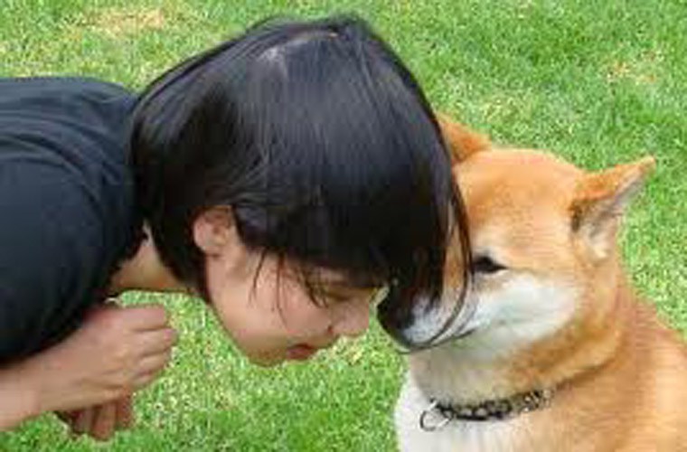 Giải m&atilde; giấc mơ thấy động vật